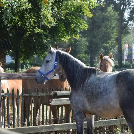 Holiday Recreatiepark De Boshoek.3 Voorthuizen