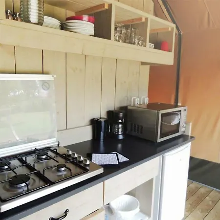 Holiday home Holiday Recreatiepark De Boshoek.3