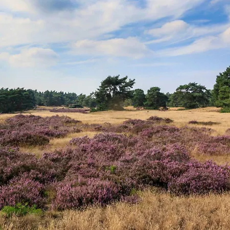 Holiday home Holiday Recreatiepark De Boshoek.3 *